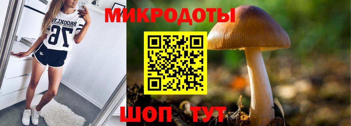 купить наркоту  Псилоцибиновые грибы Psilocybe  Псилоцибиновые грибы Psilocybe  Вход с VPN  Амурск 